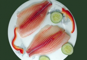 frozen tilapia meat