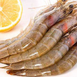 frozen shrimp