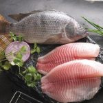 frozen tilapia fillets