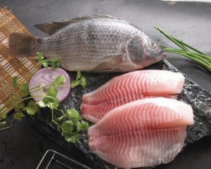 frozen tilapia fillets