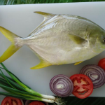 gold pomfret China