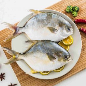 golden pompano