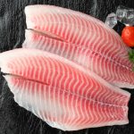 tilapia fillets America