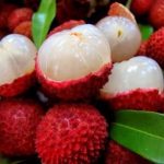 fresh litchi producer